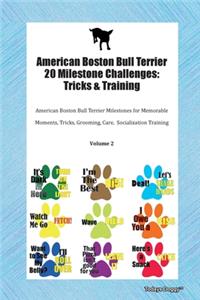 American Boston Bull Terrier 20 Milestone Challenges