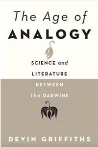 The Age of Analogy