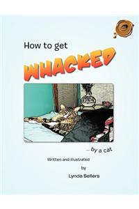 How to Get Whacked by a Cat