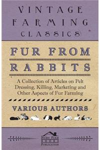 Fur from Rabbits - A Collection of Articles on Pelt Dressing, Killing, Marketing and Other Aspects of Fur Farming