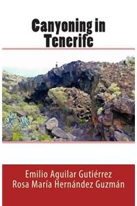 Canyoning in Tenerife