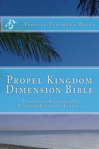 Propel Kingdom Dimension Bible