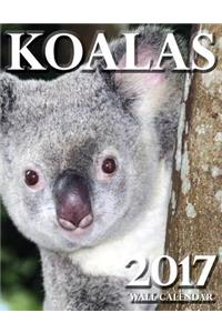 Koalas 2017 Wall Calendar (UK Edition)