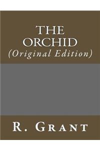 The Orchid