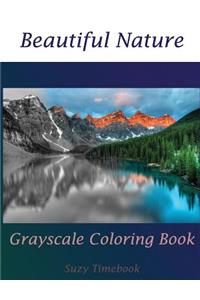 Beautiful Nature Grayscale Coloring Book