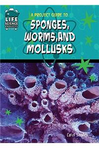 A Project Guide to Sponges, Worms, and Mollusks