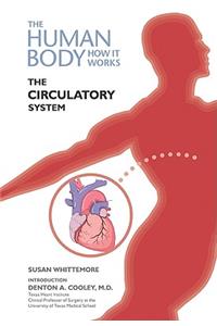 The Circulatory System