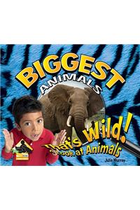 Biggest Animals