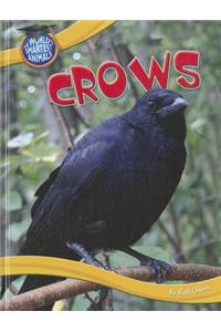 Crows