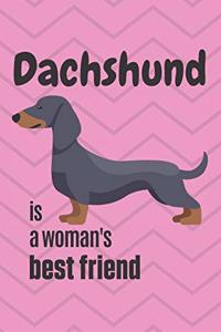 Dachshund is a woman's Best Friend