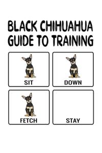 Black Chihuahua Guide To Training