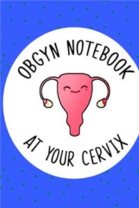 OBGYN Notebook At Your Cervix, Gynaecologist Journal, Funny Gift For OBGYN