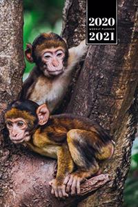 Monkey Ape Week Planner Weekly Organizer Calendar 2020 / 2021 - Chilling in the Trees