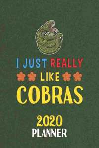 I Just Really Like Cobras 2020 Planner