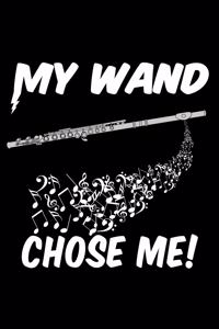 My Wand Chose Me!