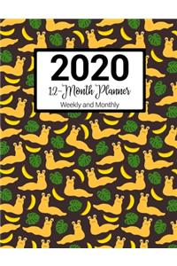 2020 12-Month Planner Weekly and Monthly