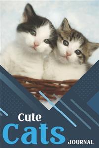 Cute Cats Journal