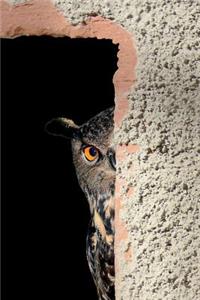 This Owl is Peeking at You from This Journal - Pretend You Don't See Him