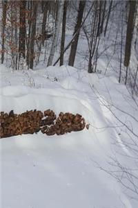 2019 Daily Planner Winter Woodpile Snowcovered 384 Pages