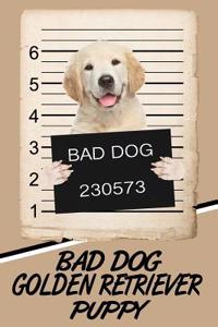 Bad Dog Golden Retriever Puppy
