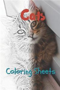 Cat Coloring Sheets