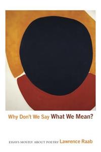 Why Don't We Say What We Mean?: Essays Mostly about Poetry