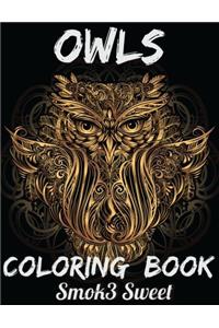 1: Owl Coloring Book