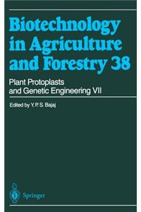 Plant Protoplasts and Genetic Engineering VII