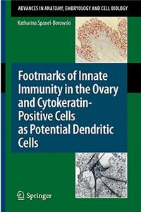Footmarks of Innate Immunity in the Ovary and Cytokeratin-Positive Cells as Potential Dendritic Cells