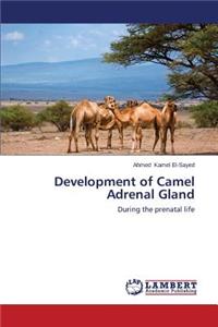 Development of Camel Adrenal Gland