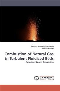 Combustion of Natural Gas in Turbulent Fluidized Beds