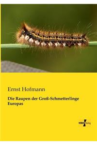 Raupen der Groß-Schmetterlinge Europas
