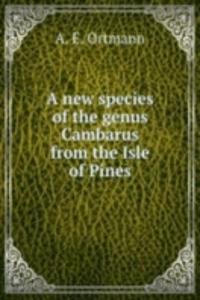 new species of the genus Cambarus from the Isle of Pines