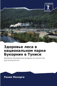 Здоровье леса в национальном парке Букорн