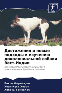 Достижения и новые подходы к изучению до

