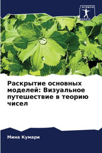 Раскрытие основных моделей