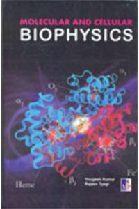 Molecular and cellular biophysics
