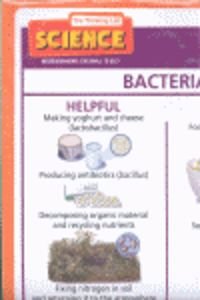 Microorganisms: Too Small to See? Poster