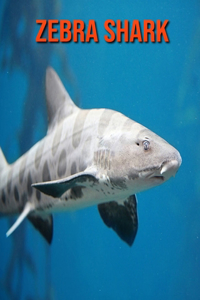 Zebra Shark