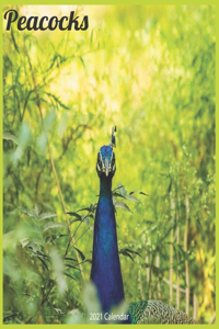 Peacocks 2021 Calendar