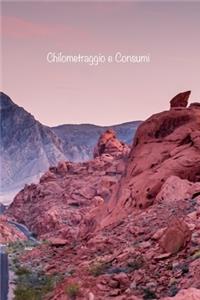 Chilometraggio e Consumi