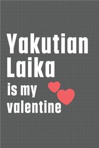 Yakutian Laika is my valentine