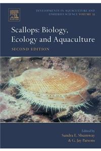 Scallops