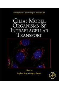 Cilia: Model Organisms and Intraflagellar Transport: Volume 93