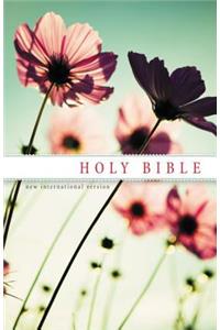 NIV, Holy Bible, Paperback