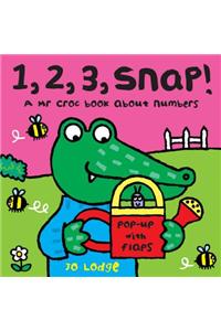 Mr Croc Board Book: 1, 2, 3 Snap