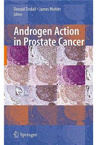 Androgen Action in Prostate Cancer