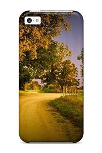 Form Und Gehalt in Der Aesthetik