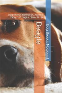 Beagle