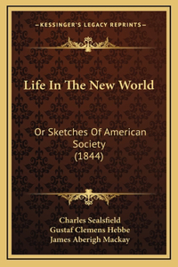 Life In The New World